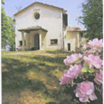 Read more about the article Inaugurazione Santuario Madonna della Neve